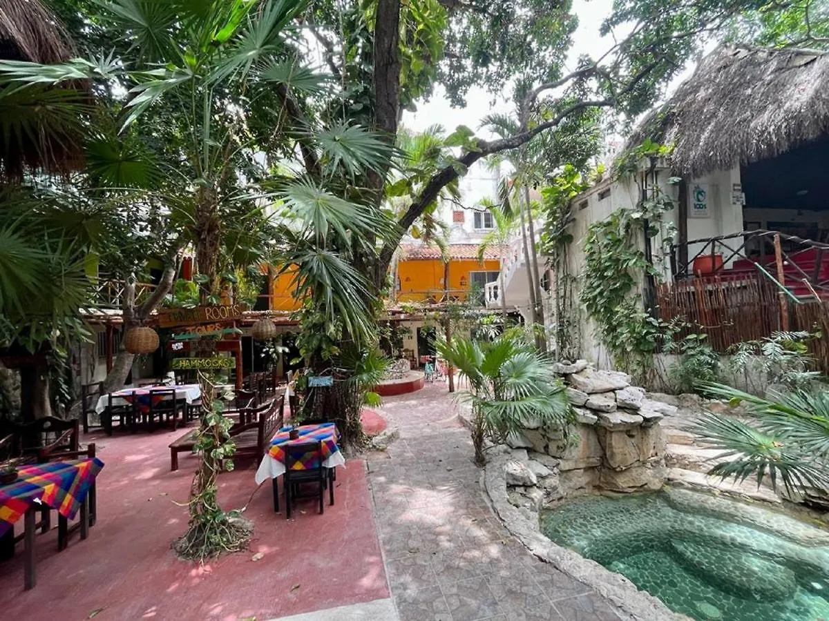 Hostal Mx 5Th Avenue Ostello Playa del Carmen