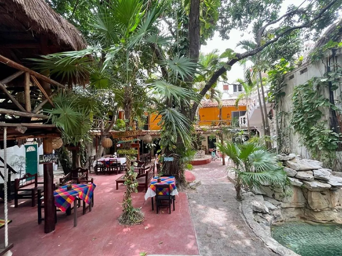 Hostal Mx 5Th Avenue Ostello Playa del Carmen