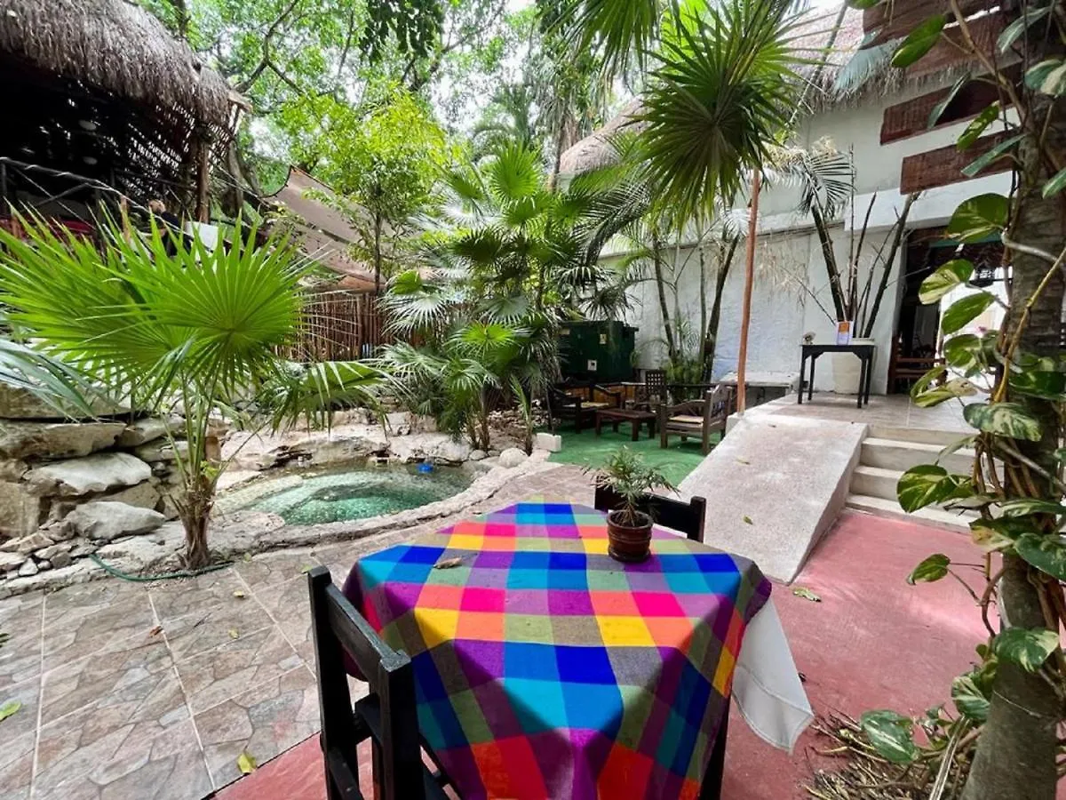 Hostal Mx 5Th Avenue Ostello Playa del Carmen