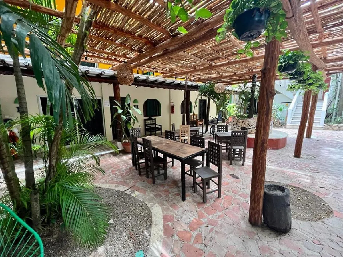 Hostal Mx 5Th Avenue Ostello Playa del Carmen