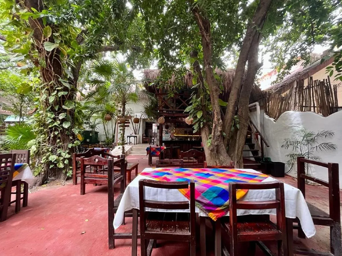 Hostal Mx 5Th Avenue Ostello Playa del Carmen